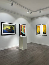 Last inn bildet i Galleri-visningsprogrammet, "Tid han" Nico Widerberg