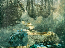 Load image into Gallery viewer, "I det natten slipper lyset til " Elisabeth Werp