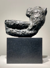 Last inn bildet i Galleri-visningsprogrammet, "Livskraft" Nico Widerberg