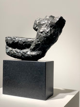 Last inn bildet i Galleri-visningsprogrammet, "Livskraft" Nico Widerberg