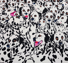 Load image into Gallery viewer, "SPOTLESS" Aija Vinkelmane- Dreiere
