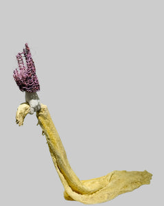 Uten tittel, Lene Kilde