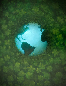 "Mother Earth hiding from man" Tom Erik Andersen