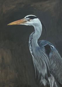 "Portrait of a Random Grey Heron"  Isabelle Inghilleri 🔴SOLD