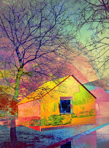 "Yellow House" Violet Polsangi