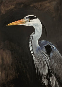 "Portrait of a random grey heron" Isabelle Inghilleri