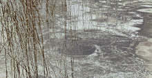 Load image into Gallery viewer, &quot;Frost&quot; (16x31,5) Merete Løndal
