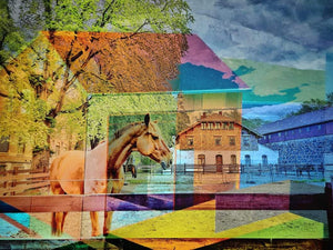 "Horse behind wooden Fence" Violet Polsangi